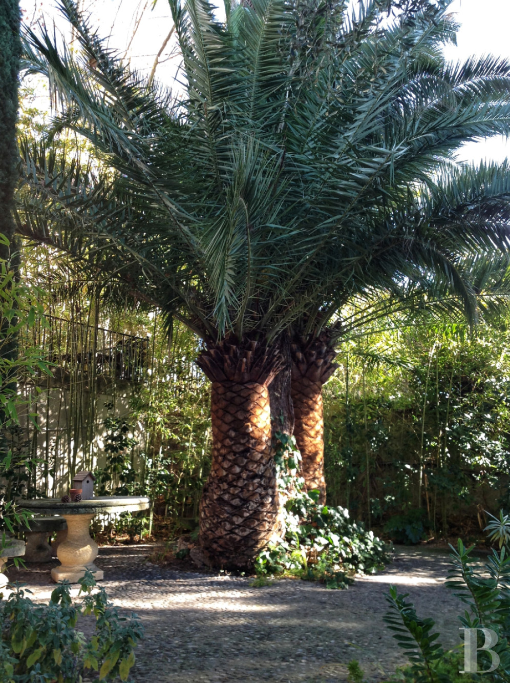 À Marseille, au cœur du Roucas-Blanc, une villa du 19ème siècle et ses spectaculaires jardins et rocailles dominant la corniche - photo  n°12